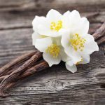 Vanilla Oak Type Fragrance Oil